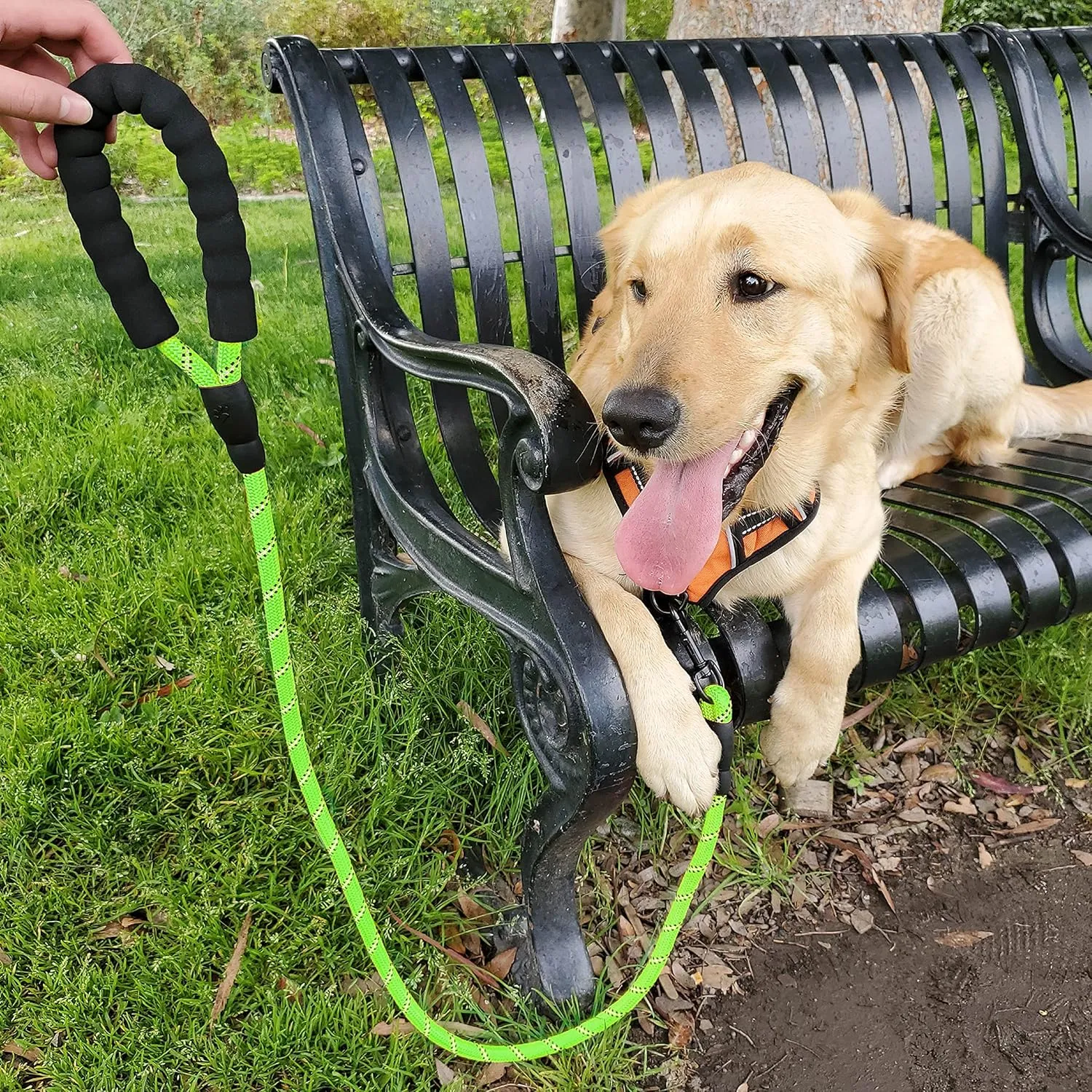 5ft 1/2in Strong Green Dog Leash - Highly Reflective Heavy Duty Rope Leash with Soft Padded Anti-Slip Handle - for 18-120 lbs Dogs