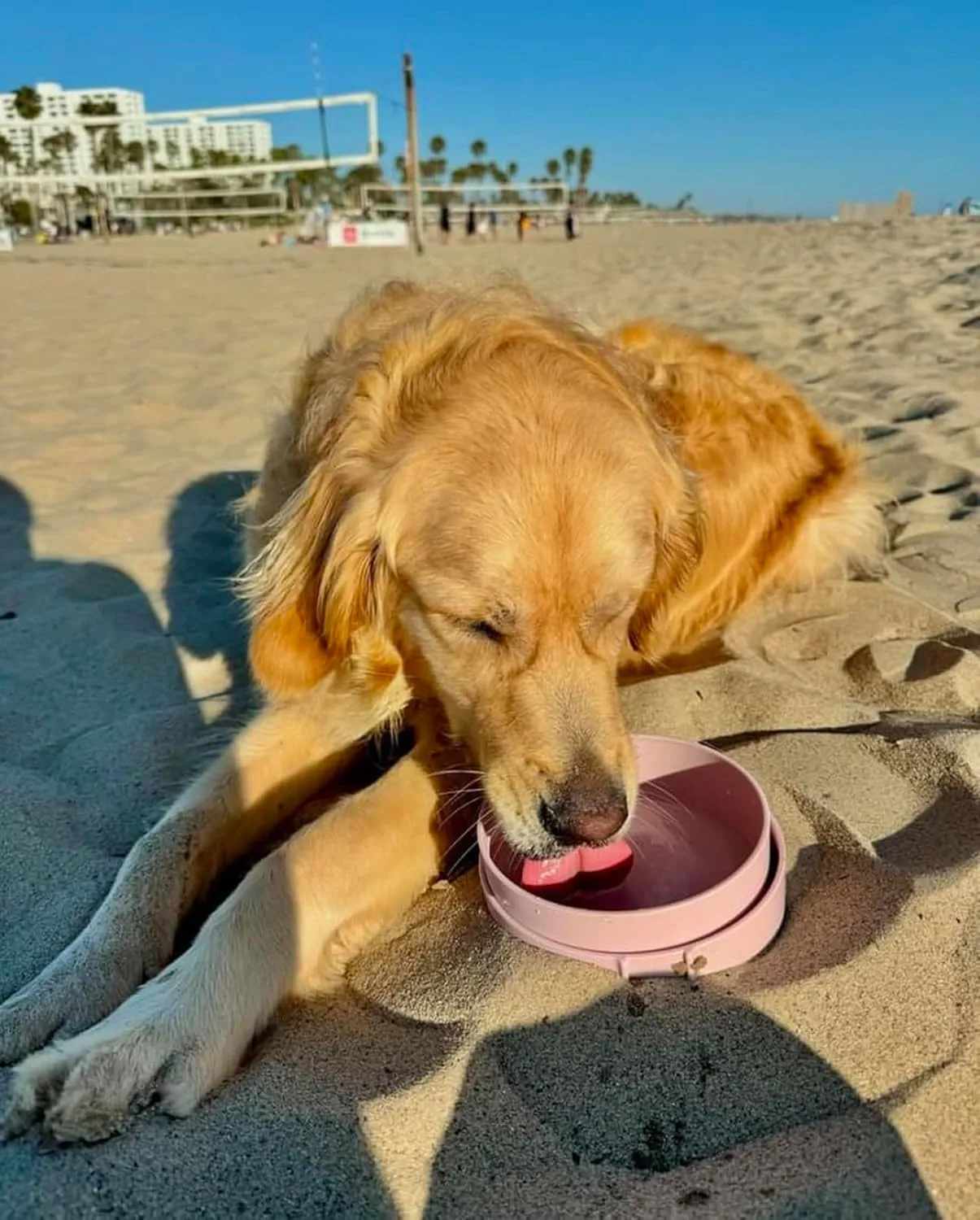Barkin' Trails Travel Dog Bowls - Portable, BPA-Free Dog Food and Water Bowl Set for Outdoor Use and Camping