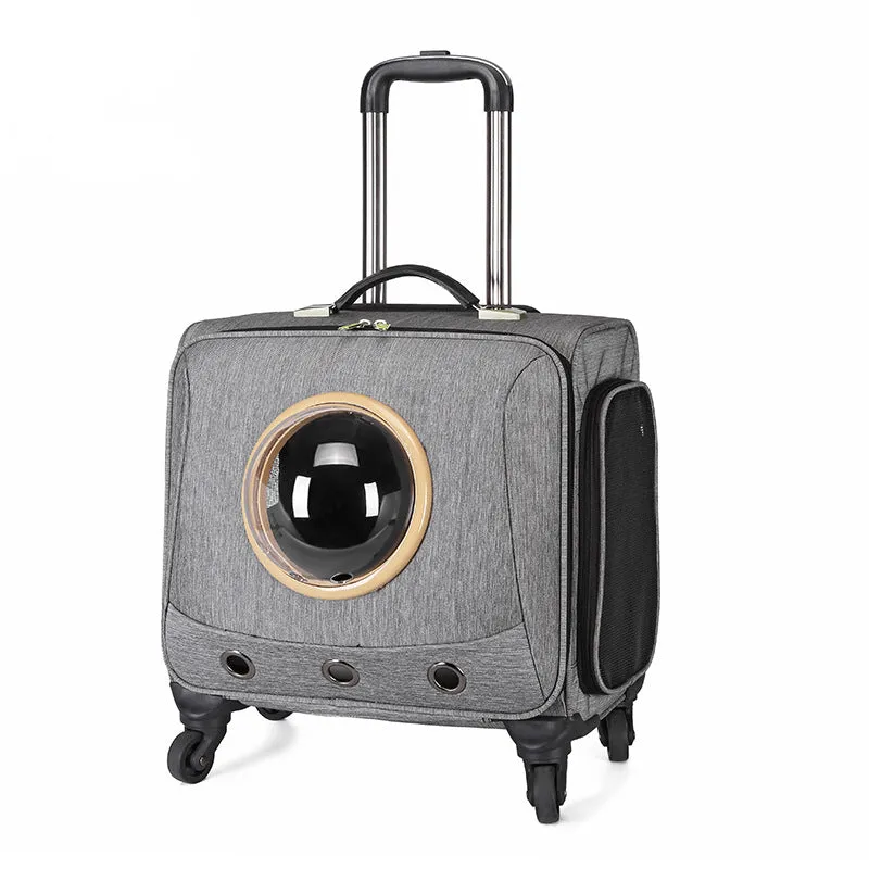 Cat Bubble Carrier Designed for Travel