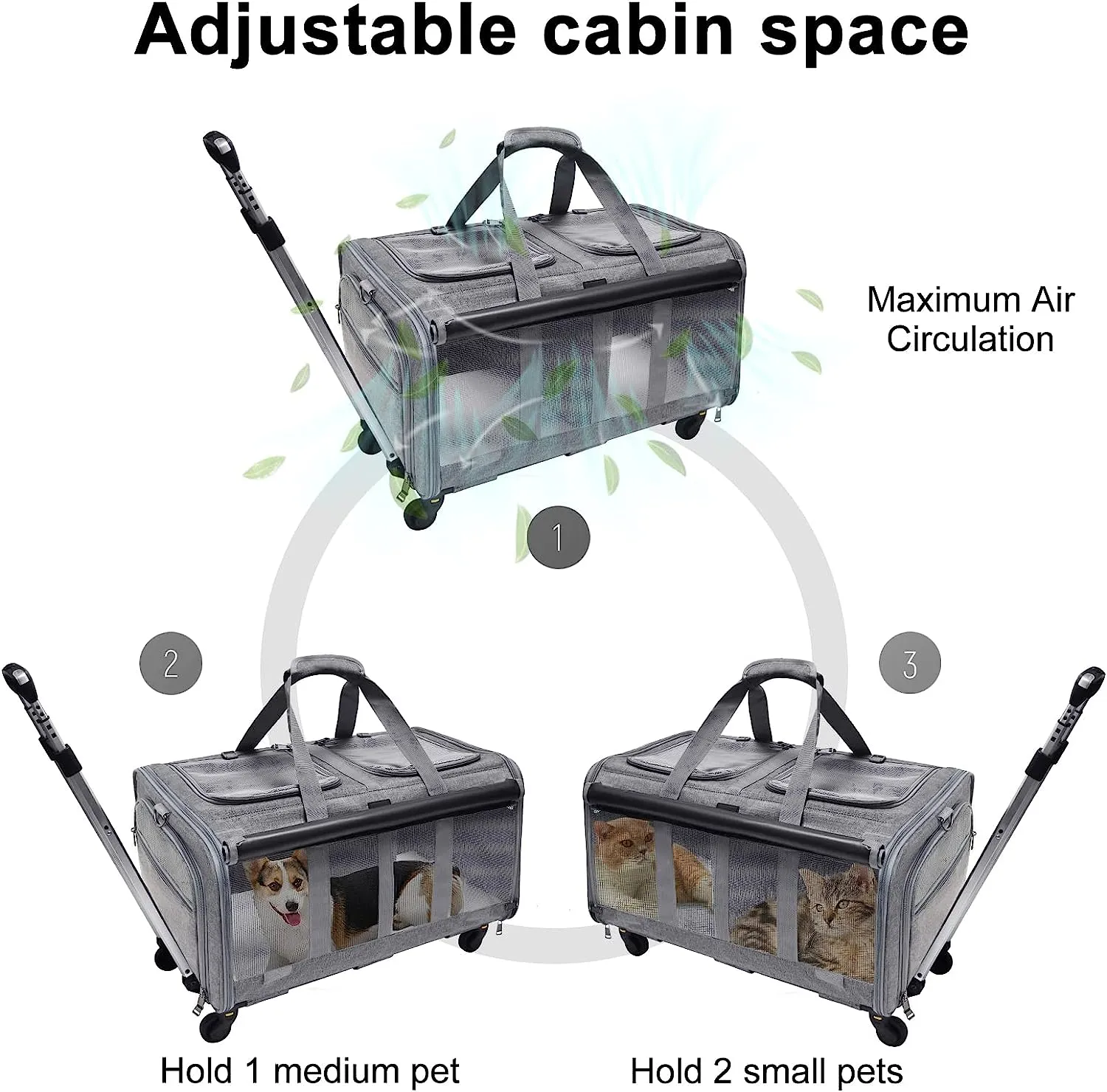 Cat Rolling Carrier For 2 Cats