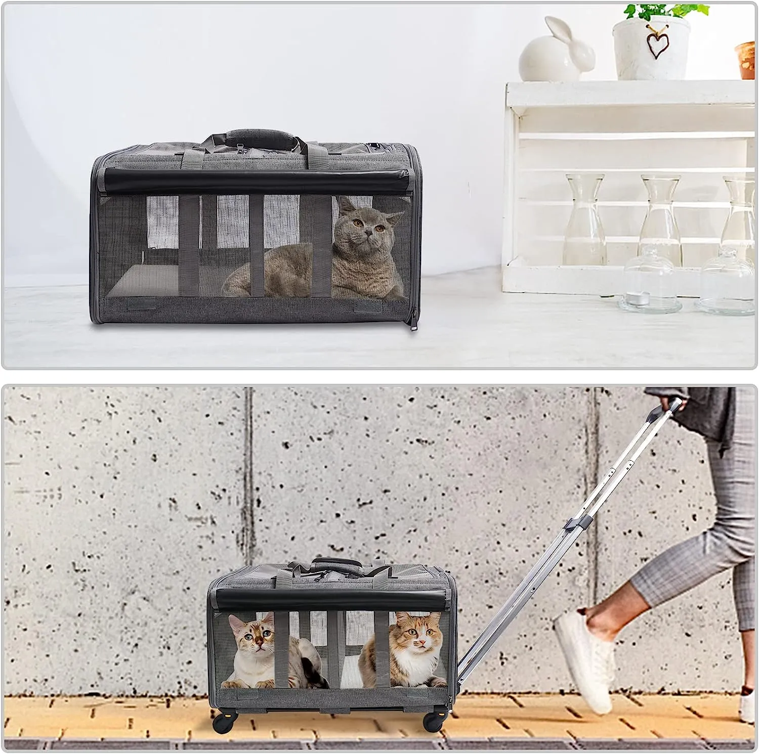 Cat Rolling Carrier For 2 Cats