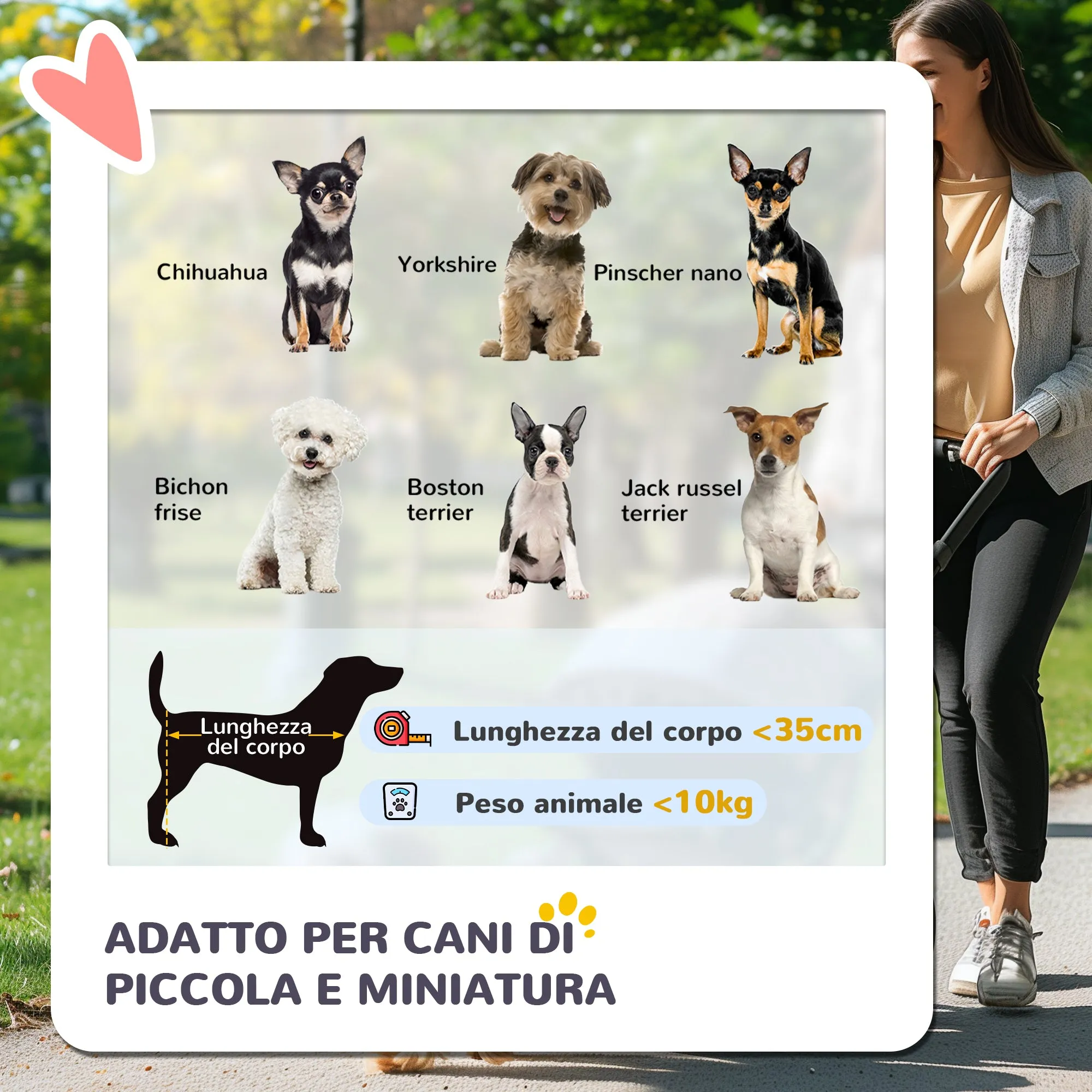 Convertible Dog Stroller with 2 Leashes and Cushion, in Steel and Polyester, 82x49.5x98 cm, Light Blue and Black