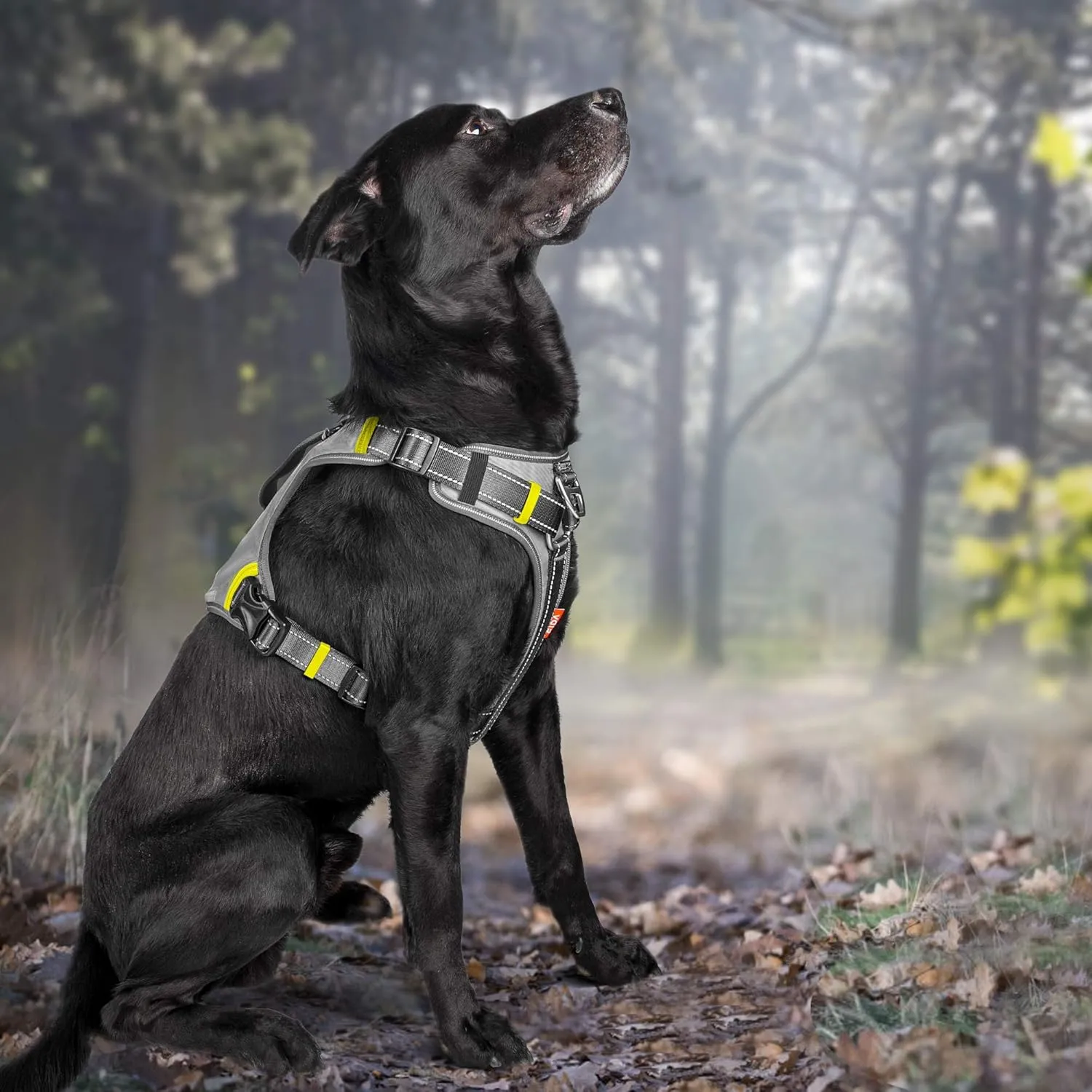 Fida Dog Harness, Multi-Functional No-Pull Pet Vest Harness with Saddle Bags Backpack, Front Leash Clip, Adjustable Soft Padded Reflective No-Choke Dog Vest Heavy Duty for Large Dog, L, Black