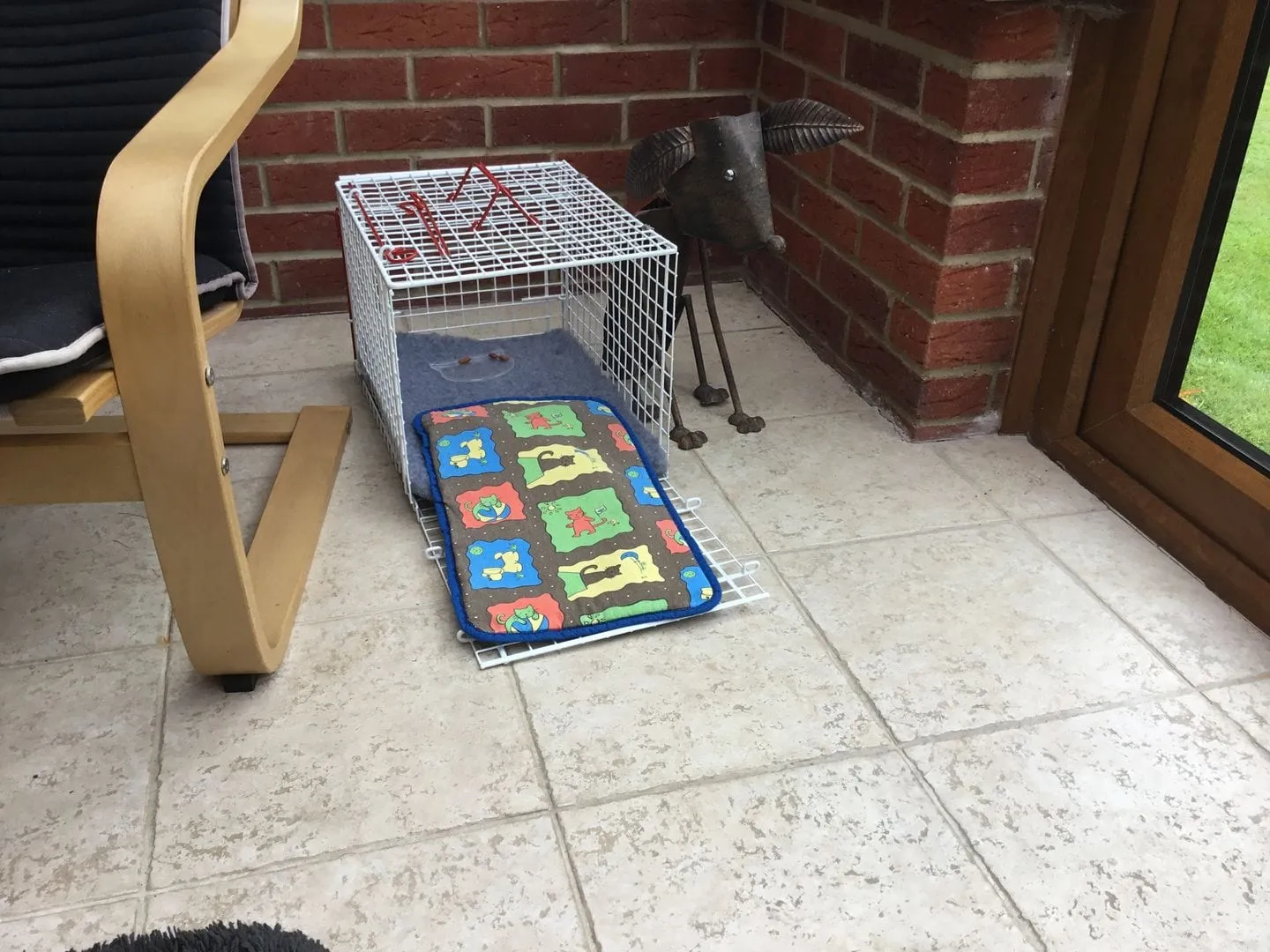 Folding wire cat cage