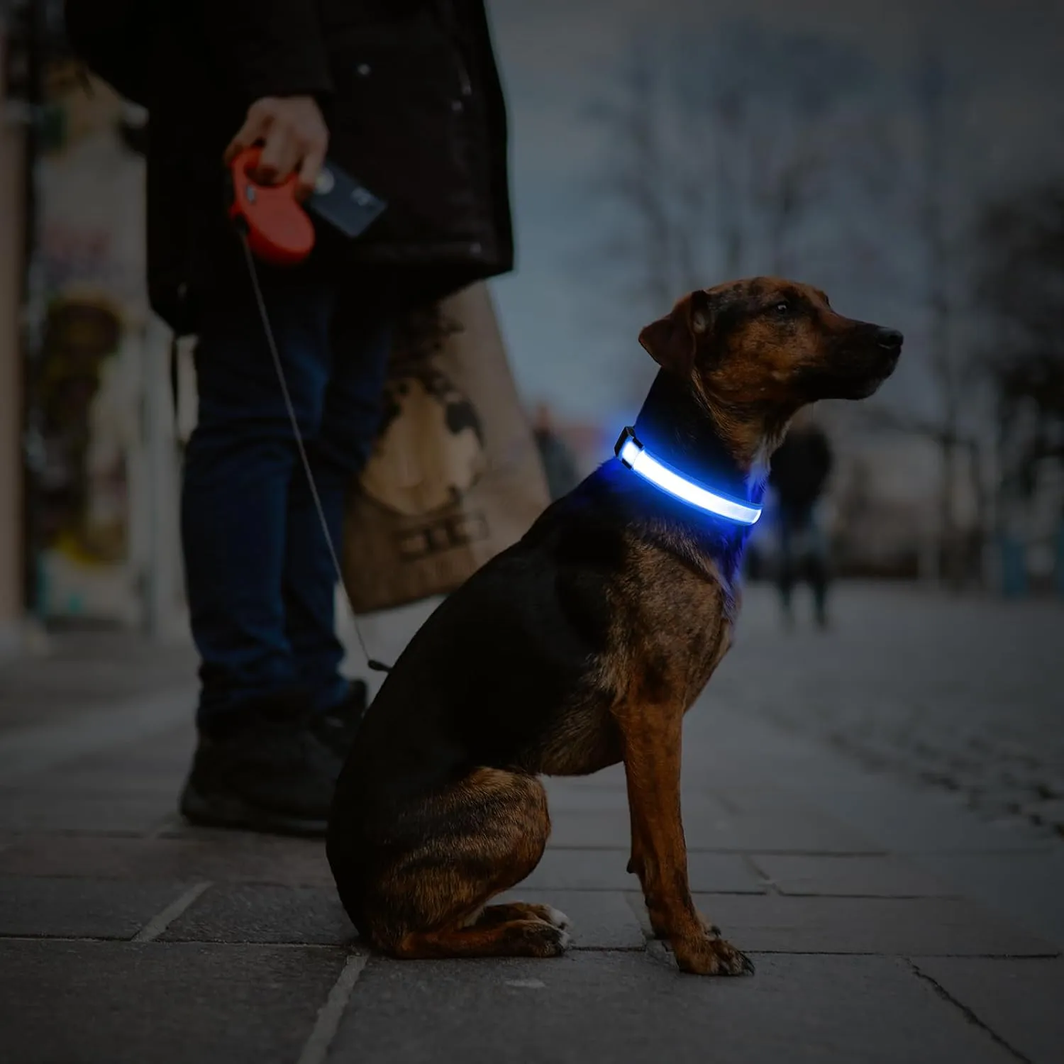 Light Up Dog Collar - Reflective LED Pet Collar Rechargeable Water-Resistant Adjustable Doggie Necklace Glowing Dog Lights for Night Walking (Royal Blue, X-Large)