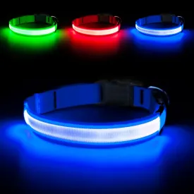 Light Up Dog Collar - Reflective LED Pet Collar Rechargeable Water-Resistant Adjustable Doggie Necklace Glowing Dog Lights for Night Walking (Royal Blue, X-Large)