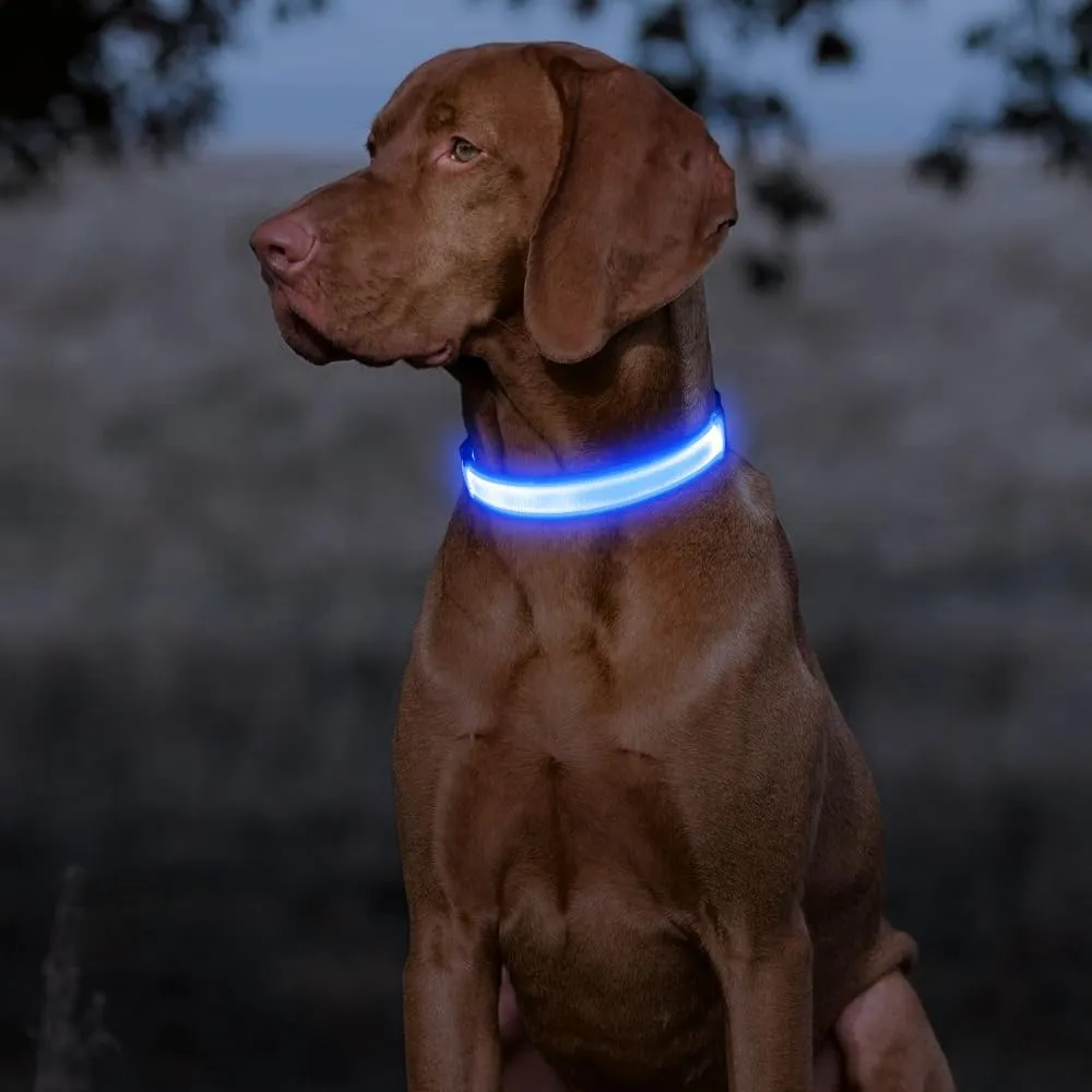 Light Up Dog Collar - Reflective LED Pet Collar Rechargeable Water-Resistant Adjustable Doggie Necklace Glowing Dog Lights for Night Walking (Royal Blue, X-Large)