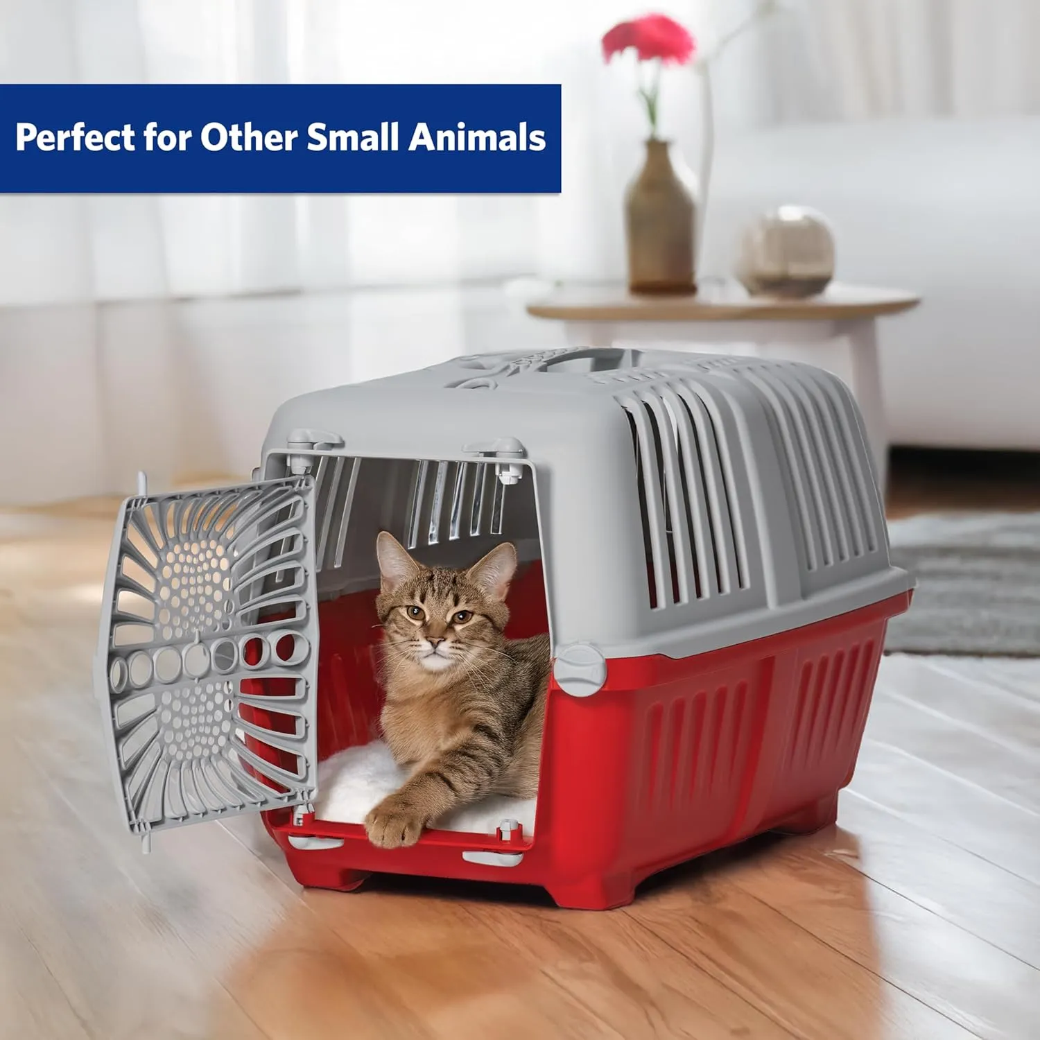 MidWest Spree Travel Pet Carrier | Hard-Sided Pet Kennel Ideal for "XS" Dog Breeds, Small Cats & Small Animals | Dog Carrier Measures 22.3L x 14.2 W x 15H - Inches| Great for Short Trips to the Vet