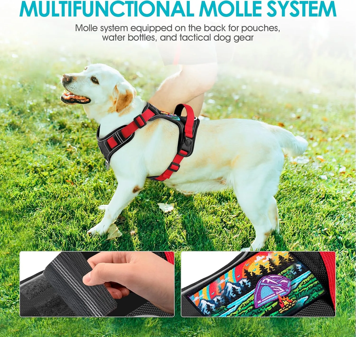 No Pull Harness with Heavy Duty 5ft Leash for Medium Small Large Sized Dog, Reflective No-Choke Pet Oxford Vest with Easy Control Handle