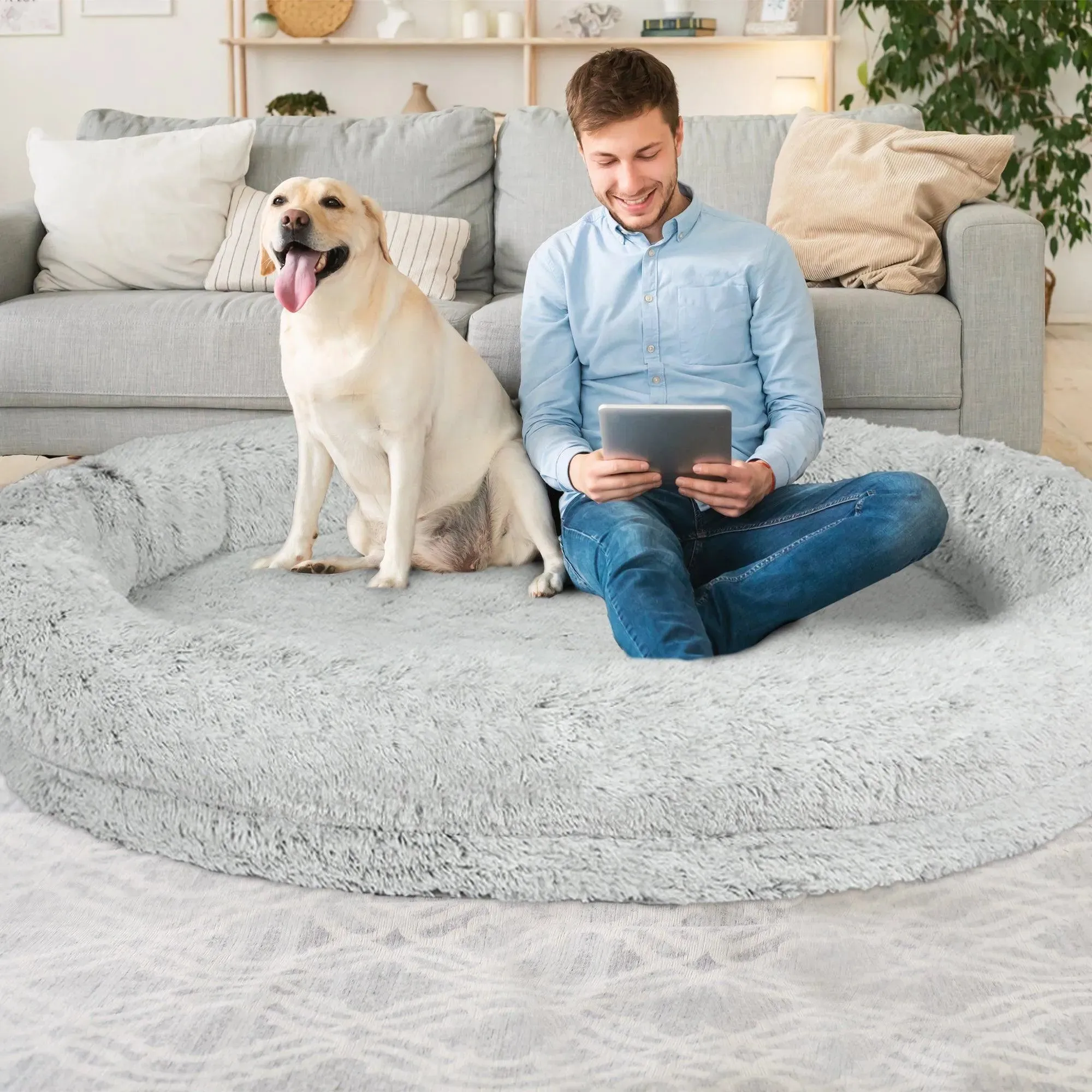 PaWz Premium Human Size Nap Bed - Memory Foam