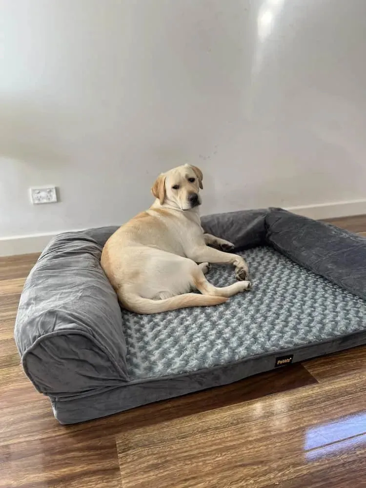PaWz Premium Pet Sofa Bed