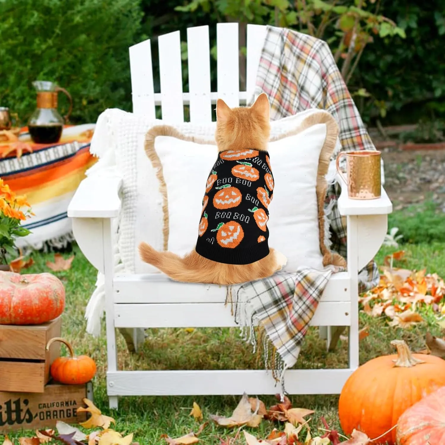 Pet Puppy Dog Halloween Sweater Cat Pumpkin Knitwear Clothes Costume with Cute Boo Pattern Halloween Sweater Coat for Kittens Small Dogs Cats M
