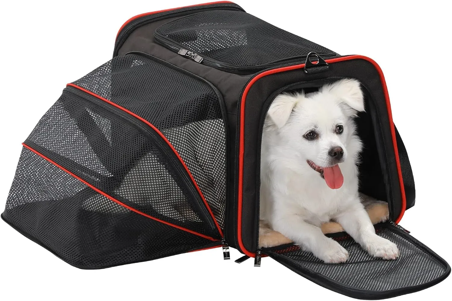 Petsfit Expandable Dog Carrier Large Cat Carrier, Soft-Sided Portable Collapsible Pet Travel Carrier for Kittens, Puppies or Small Animals, 19 x12x12 Inches, Black