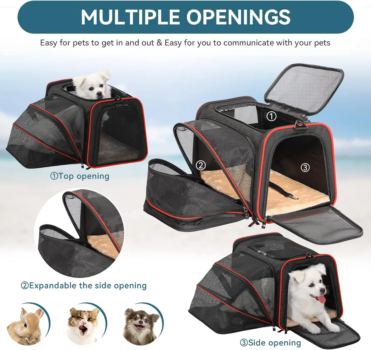 Petsfit Expandable Dog Carrier Large Cat Carrier, Soft-Sided Portable Collapsible Pet Travel Carrier for Kittens, Puppies or Small Animals, 19 x12x12 Inches, Black