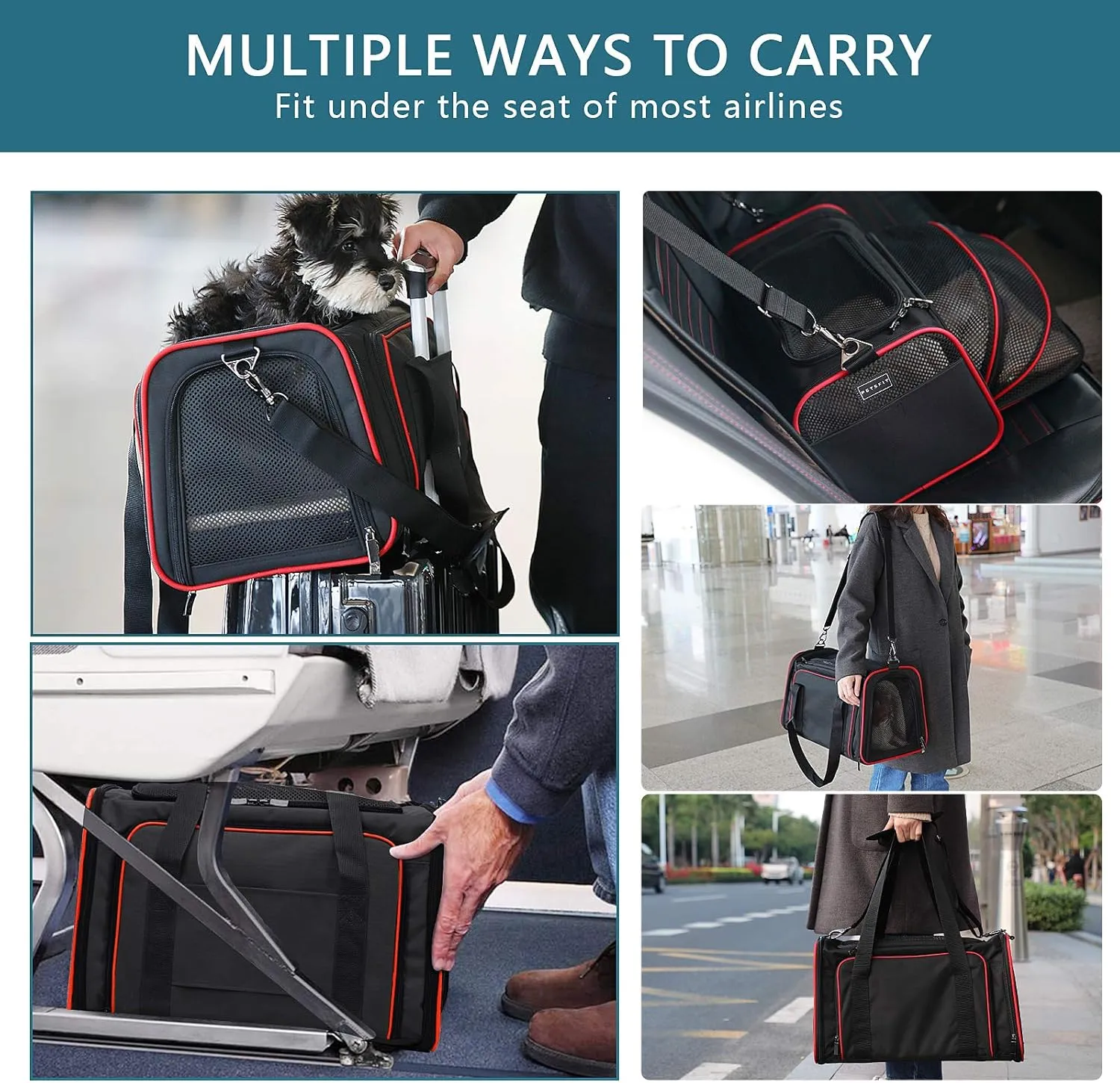 Petsfit Expandable Dog Carrier Large Cat Carrier, Soft-Sided Portable Collapsible Pet Travel Carrier for Kittens, Puppies or Small Animals, 19 x12x12 Inches, Black