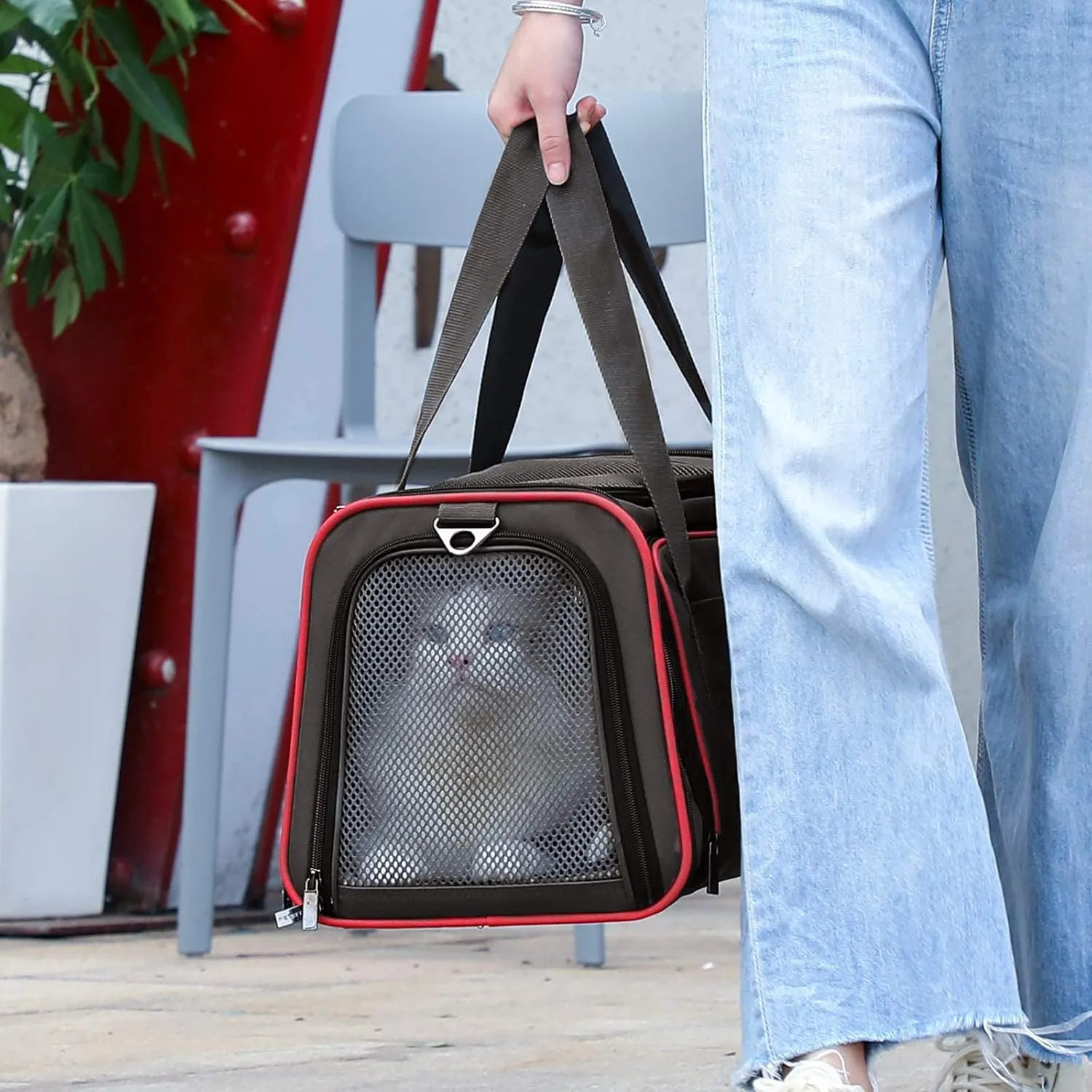 Petsfit Expandable Dog Carrier Large Cat Carrier, Soft-Sided Portable Collapsible Pet Travel Carrier for Kittens, Puppies or Small Animals, 19 x12x12 Inches, Black