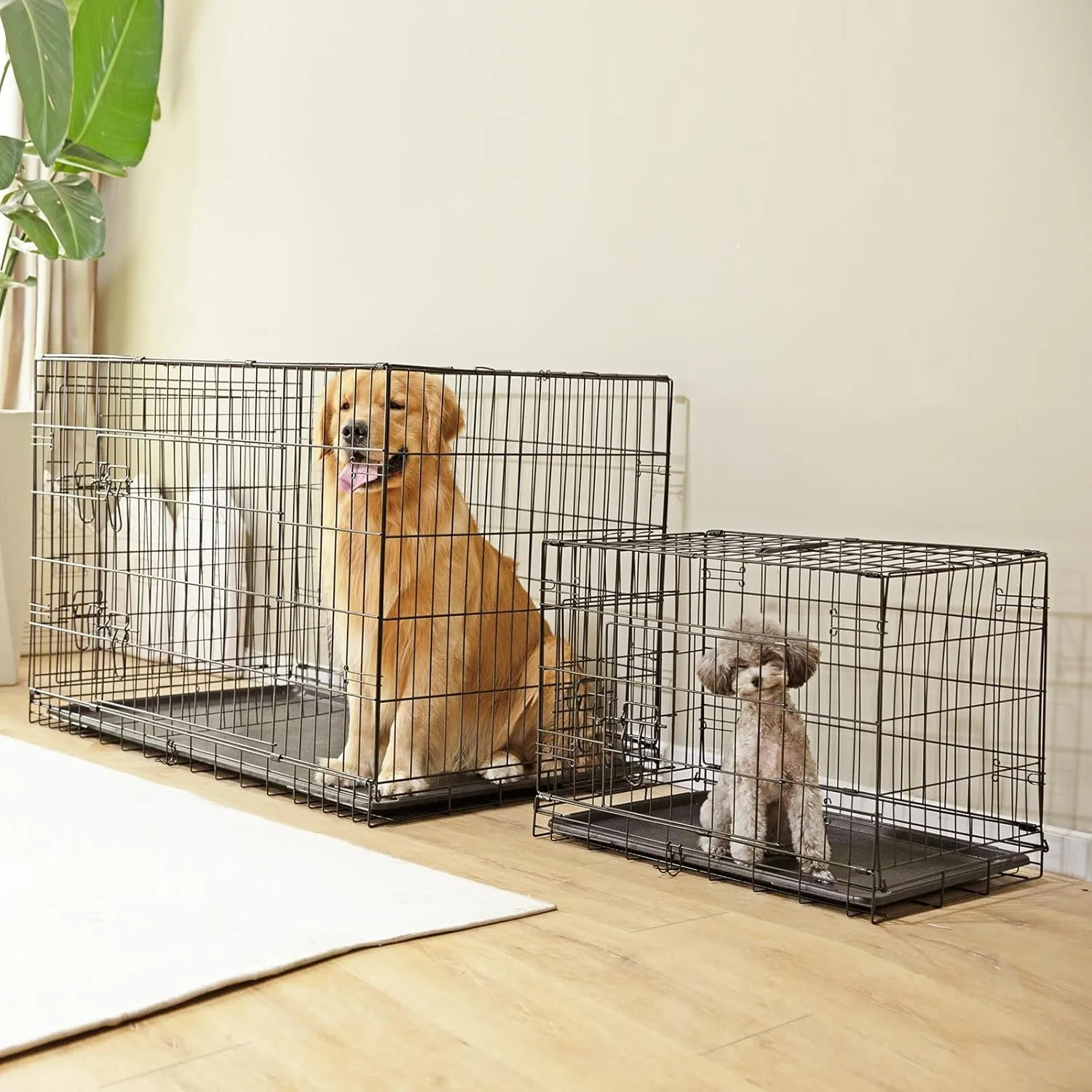 Sweetcrispy Large Dog Crate with Divider Panel, 36 Inch Double Door Folding Metal Wire Dog Cage with Plastic Leak-Proof Pan Tray, Pet Kennel for Indoor, Outdoor, Travel, 36S