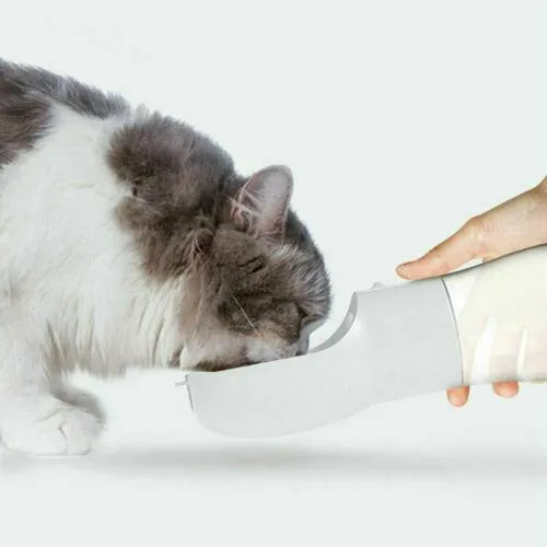 Travel Pet Water & Treat Bottle