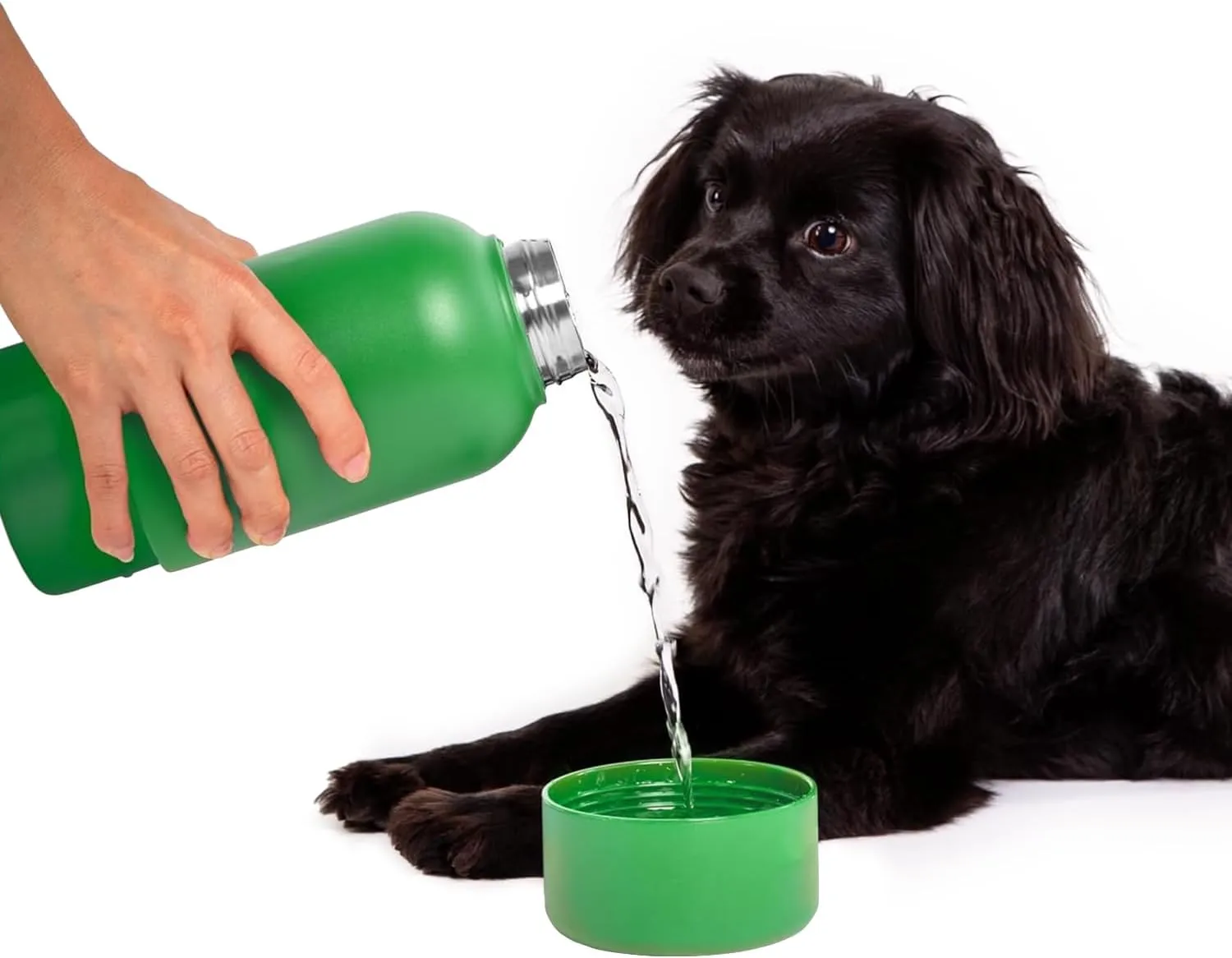 Ubbi Pup & Me Stainless Steel Insulated Portable 32 oz. Water Bottle for Dogs and Owners with Attached Dog Bowl, Green